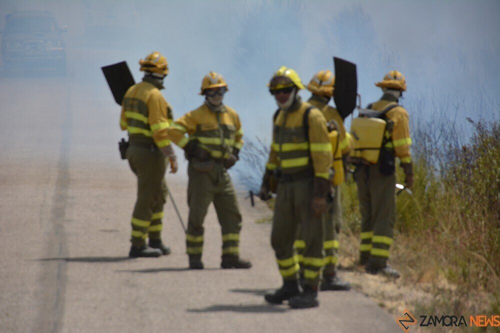 fuego puercas vegalatrave losacio_258