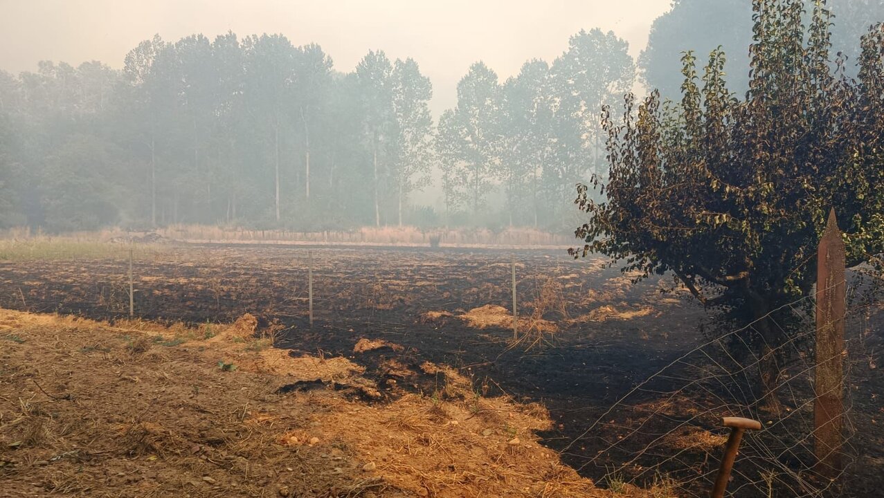 Los vecinos de León en la zona de Valderia también piden ayuda
