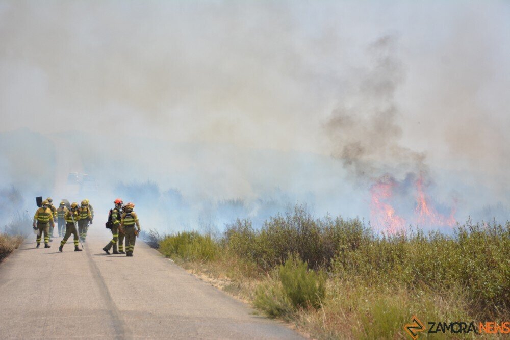 fuego puercas vegalatrave losacio_244