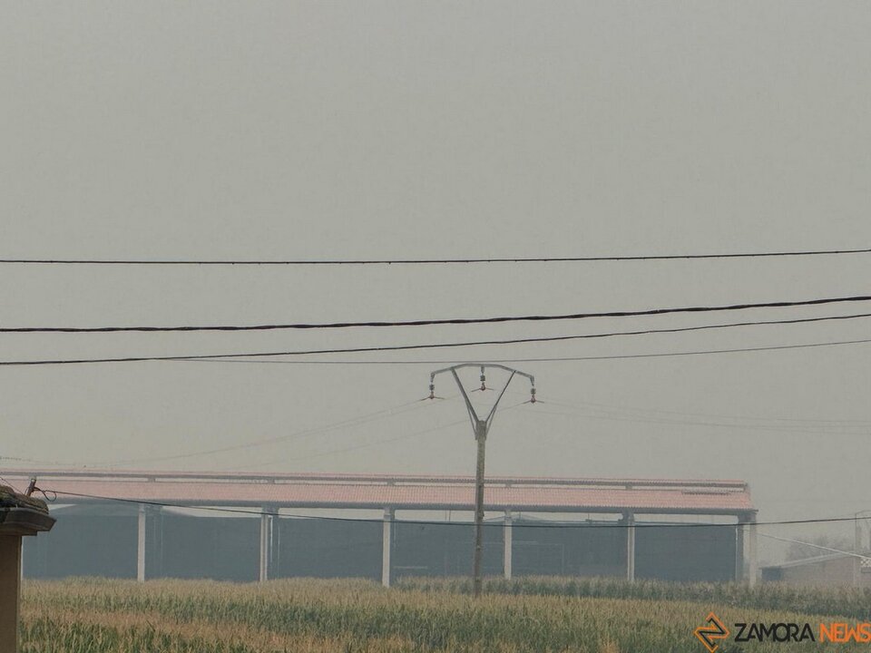 Humo en la provincia de Zamora _5