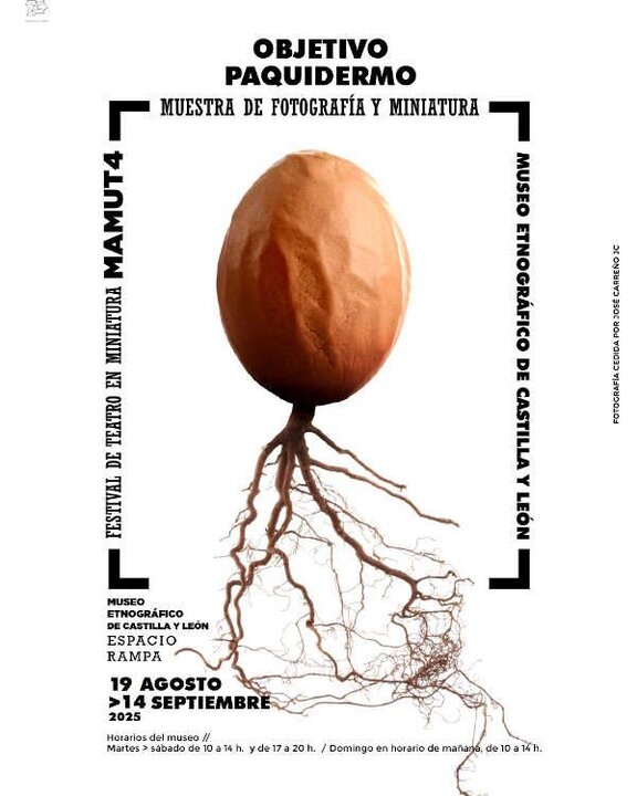 Exposición 'Objetivo Paquidermo'