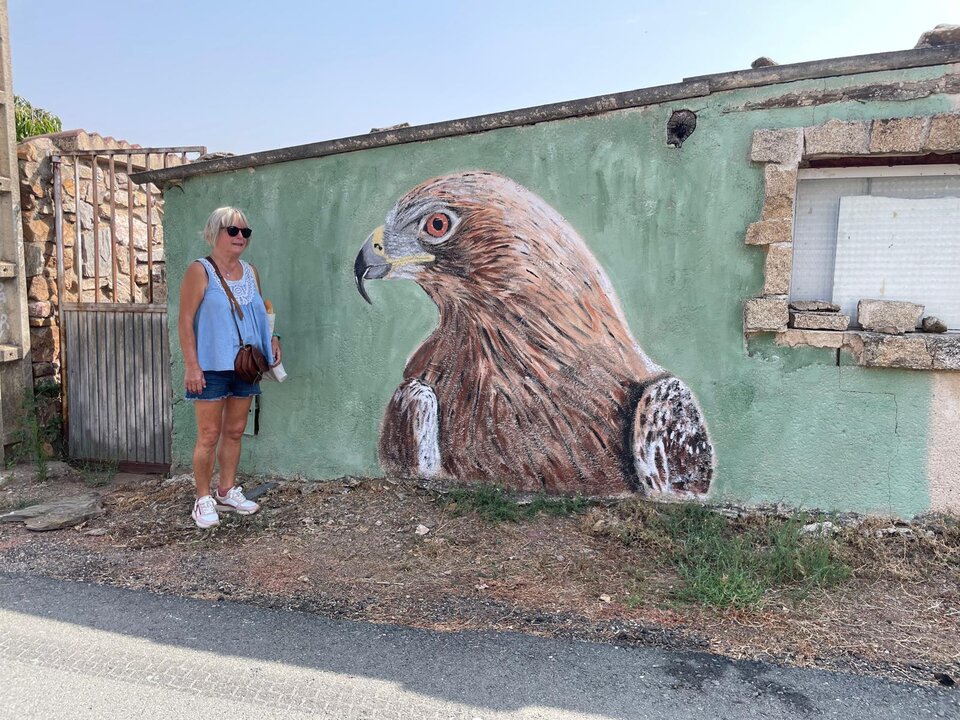 Mural aguila en Villaflor
