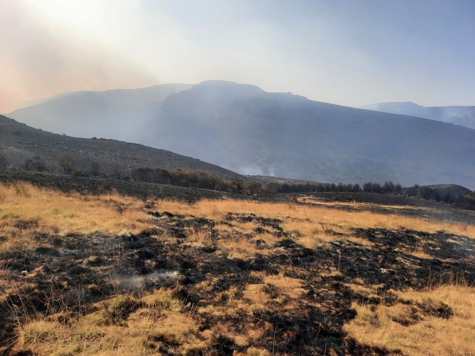 Los ganaderos afectados por los incendios en Sanabria se unen para recibir información sobre ayudas y medidas urgentes