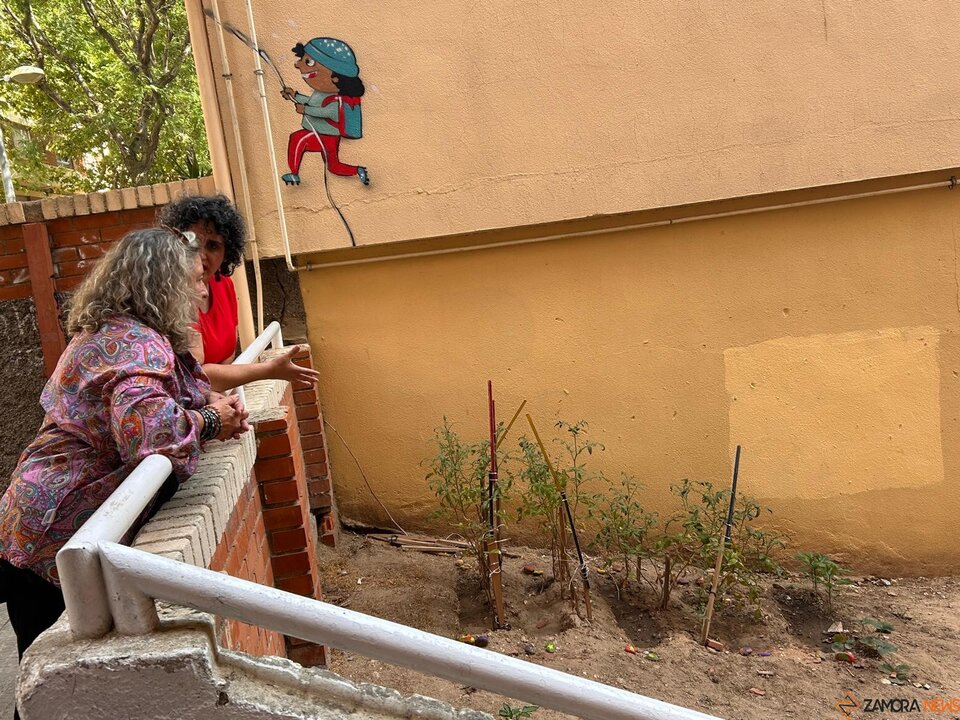 Centro de Conciliación y Apoyo a las Familias de Zamora