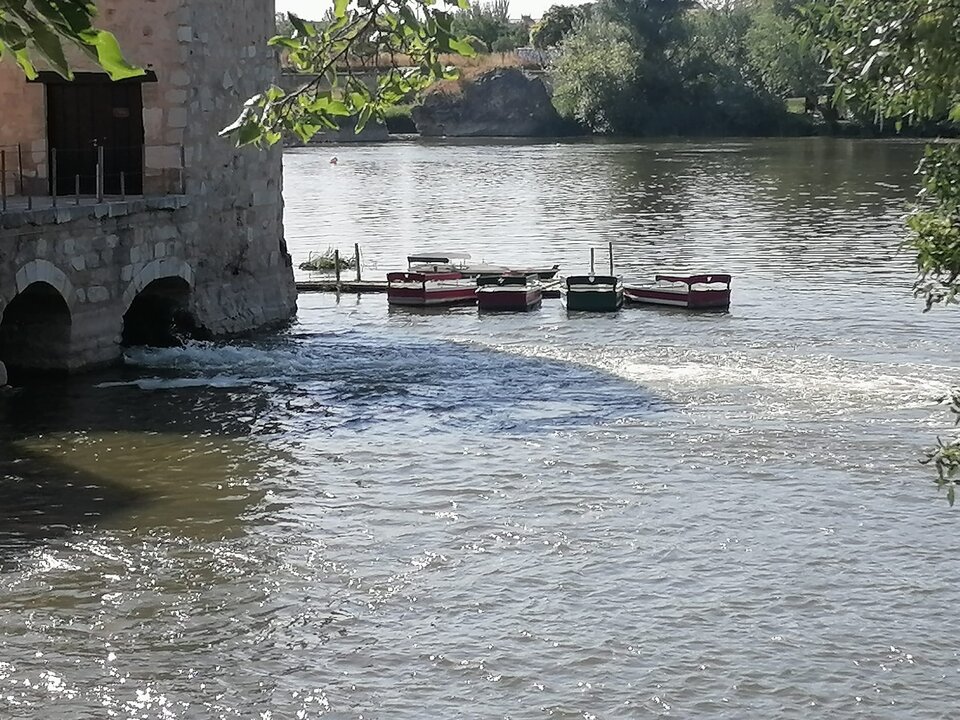 Barcas Duero 4