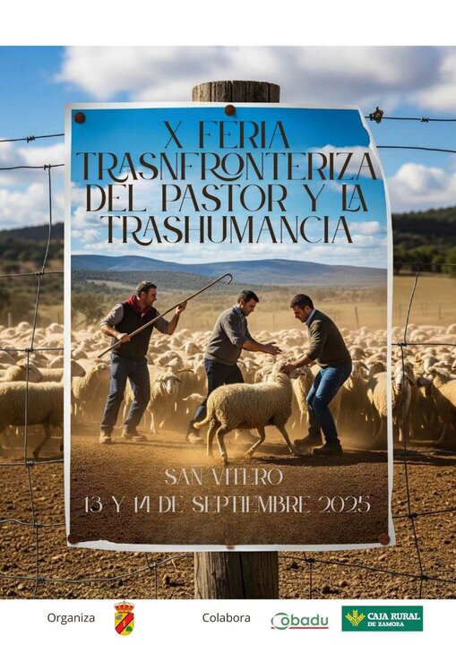 cartel Trashumancia San Vitero