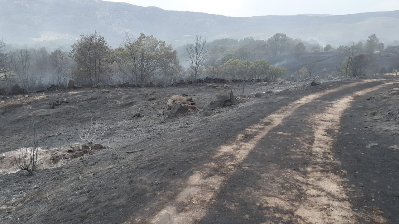 incendio Castromil