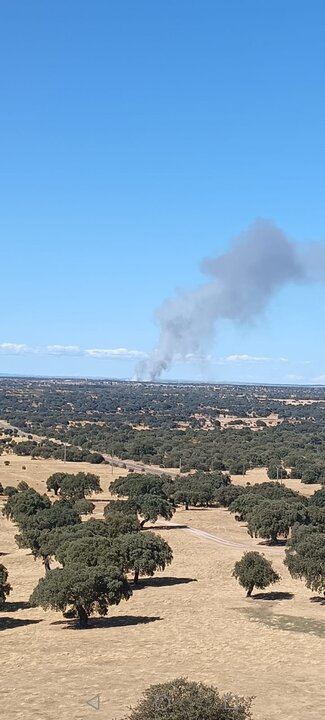 Incendio en Abelón