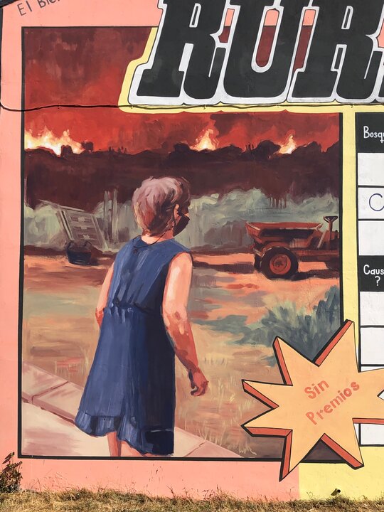 arde el rural laura merayo detalle 2