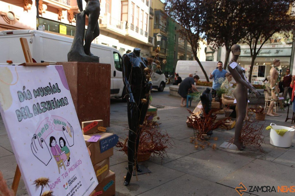 Actividad Alzheimer Zamora