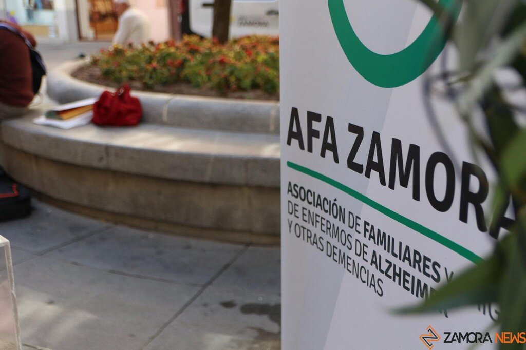 Actividad Alzheimer Zamora _4