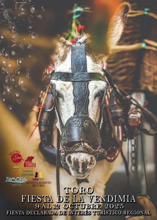 Cartel Oficial Fiesta de la Vendimia de Toro 2025
