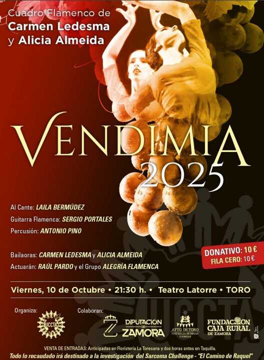 Noche Flamenca solidaria Toro