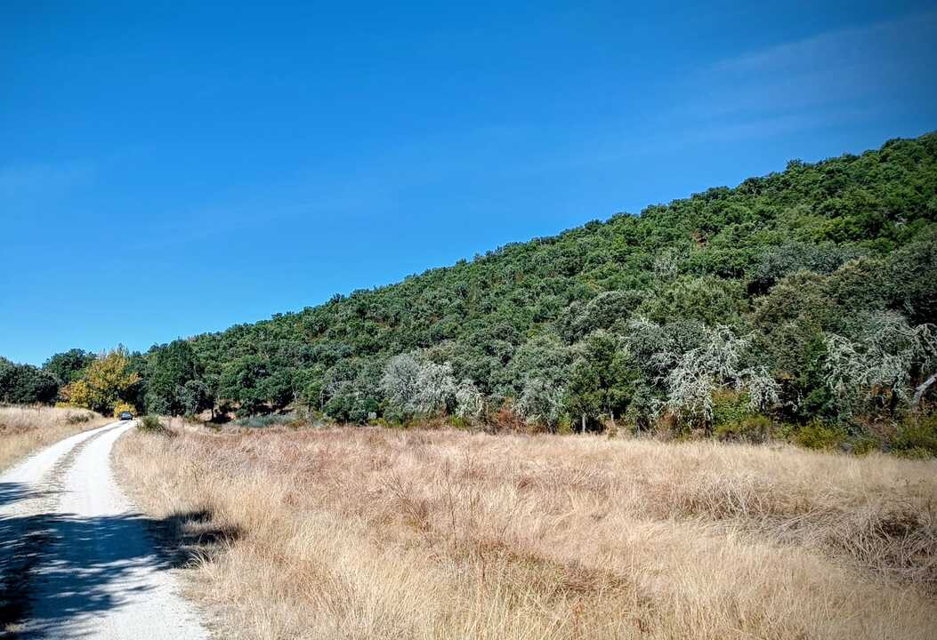 Ruta del Alcornocal11