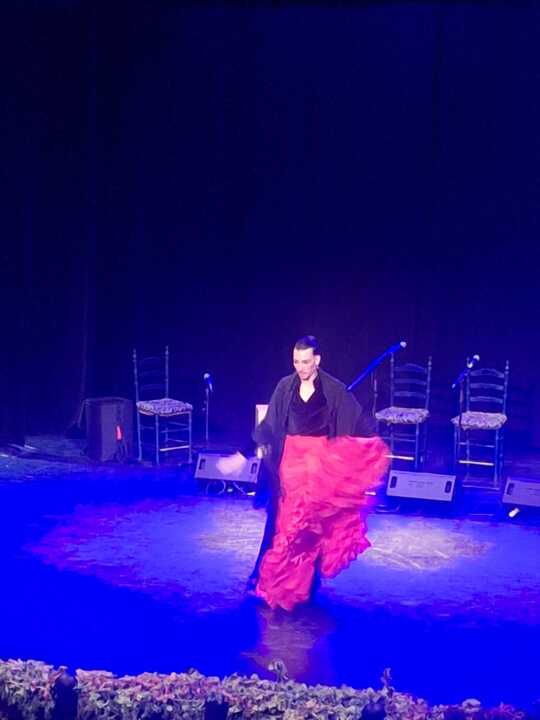 Noche Flamenca Solidaria Toro_4