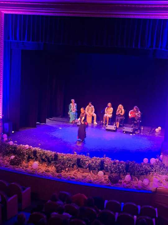 Noche Flamenca Solidaria Toro_3