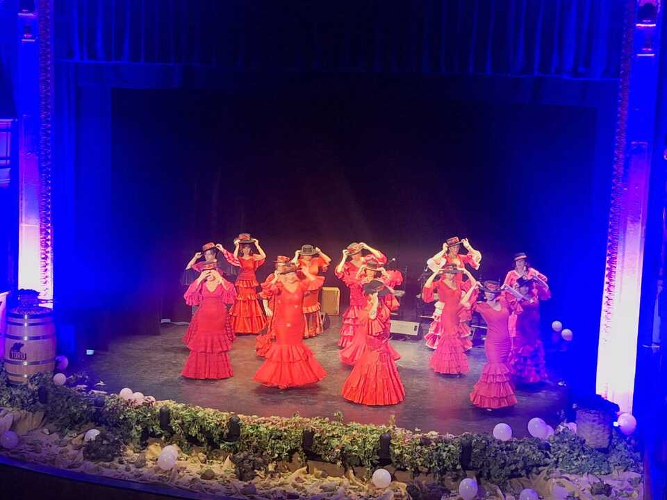 Noche Flamenca Solidaria Toro_2