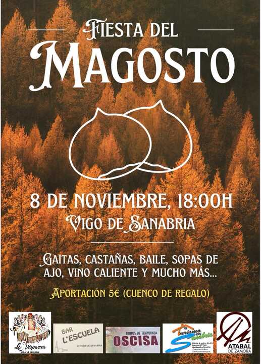 Magosto Vigo de Sanabria