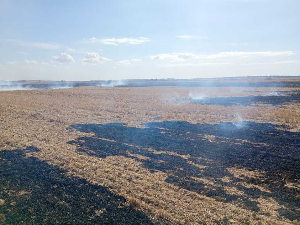 Incendio en Quintanilla del Monte_3