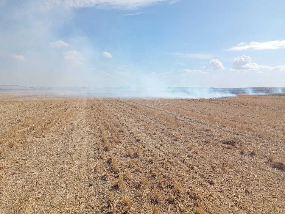 Incendio en Quintanilla del Monte_4