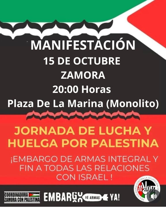 MANIFESTACIÓN 15 DE OCTUBRE ZAMORA Plaza De La Marina_20251010_200333_0000