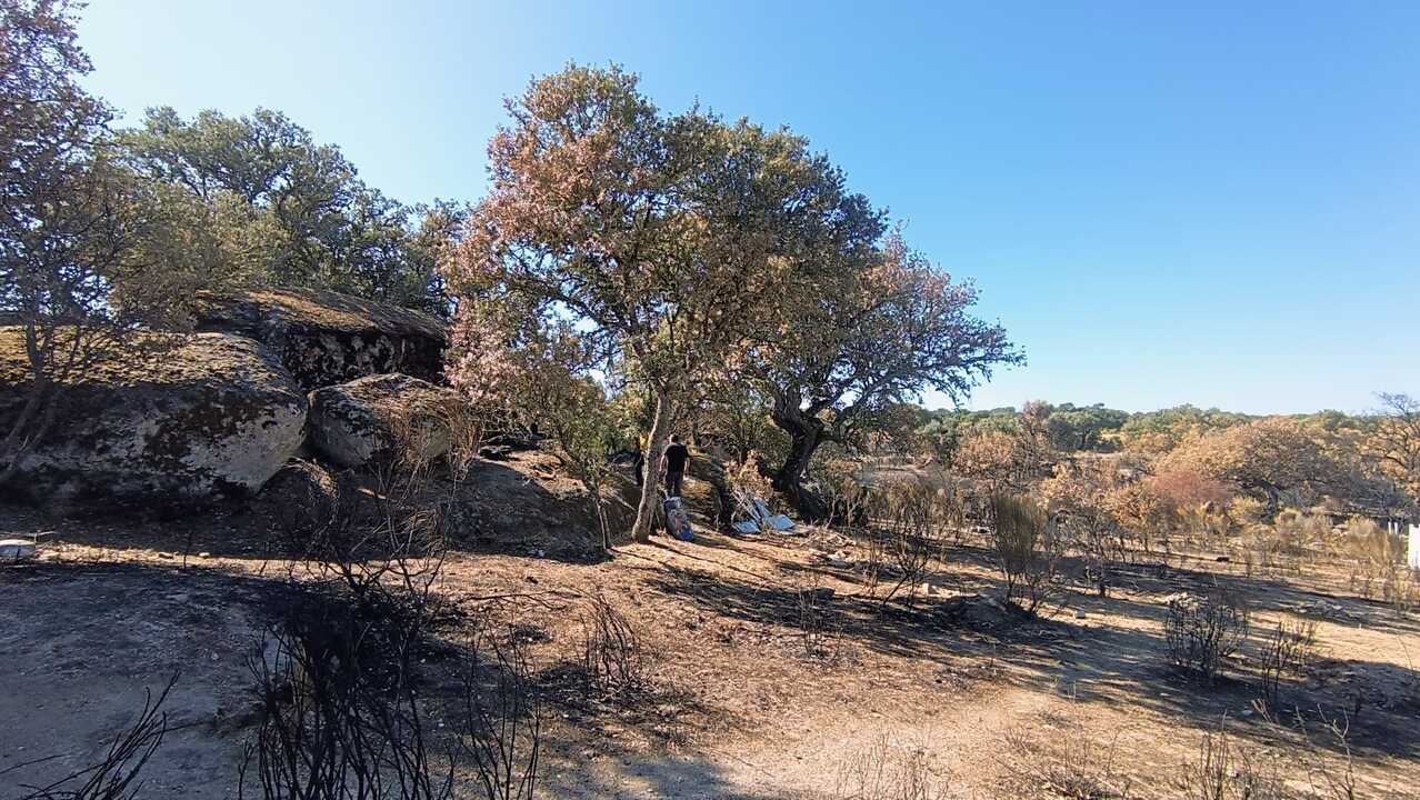 Finca de Moral de Sayago tras el incendio. Imagen de Archivo