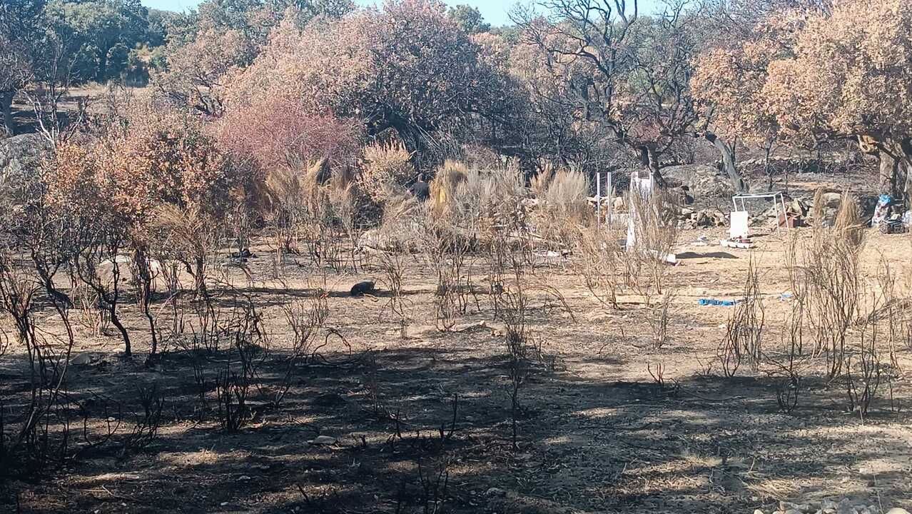 La finca de Moral de Sayago tras el fuego del 14 de septiembre