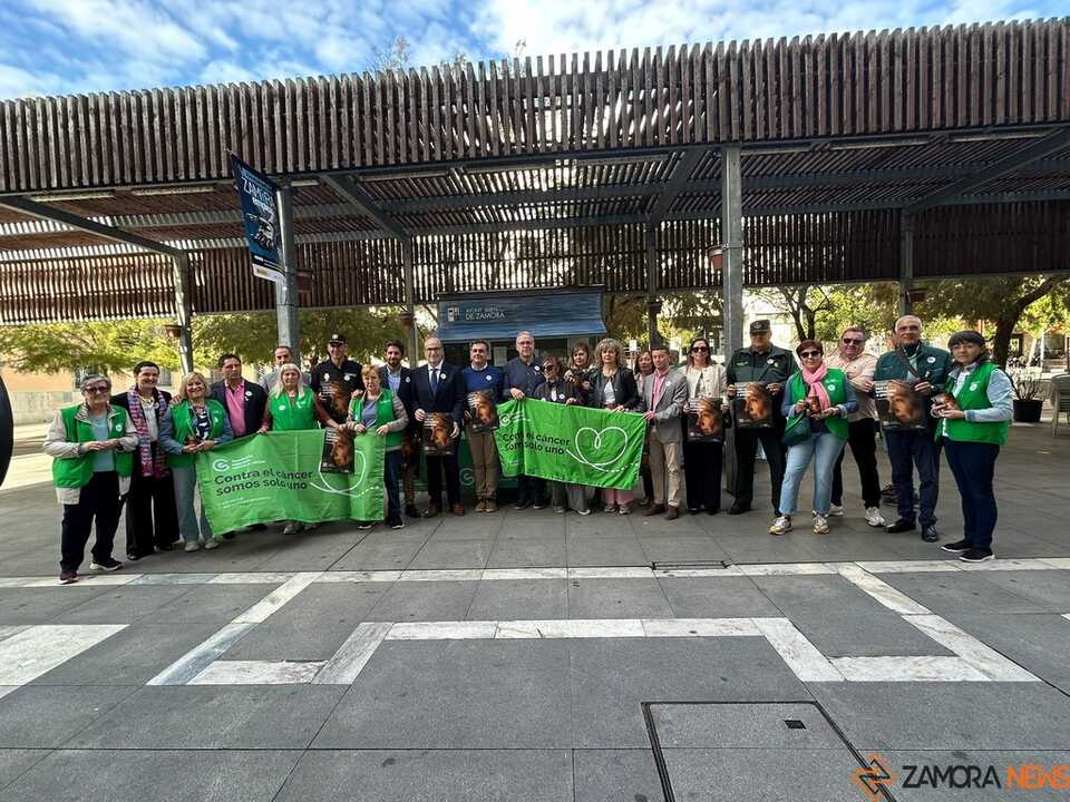 Campaña Cáncer de Mama AECC Zamora _4