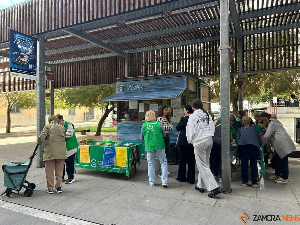 Campaña Cáncer de Mama AECC Zamora _3
