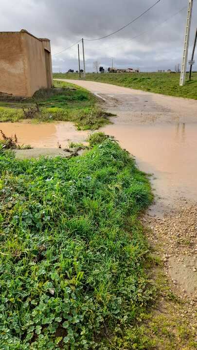 El agua inunda un camino en Manganeses de la Lampreana1