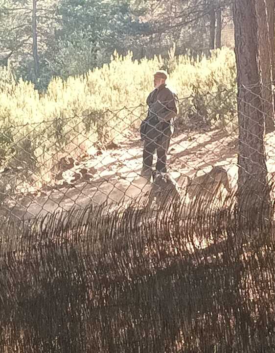 Lobos con su cuidador