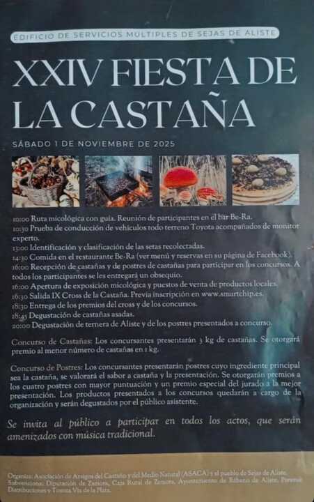 cartel fiesta de la castaña en Sejas de Aliste