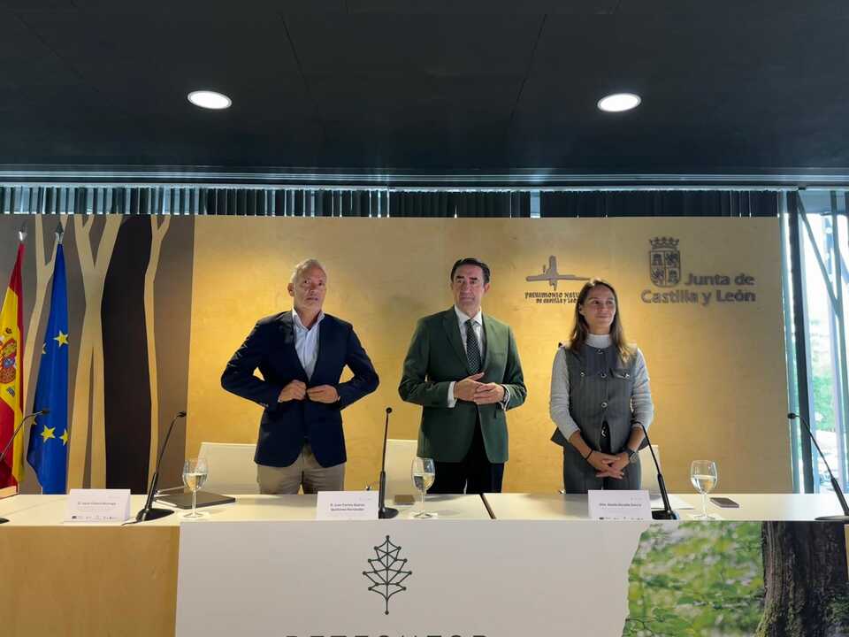 Presentación del proyecto
