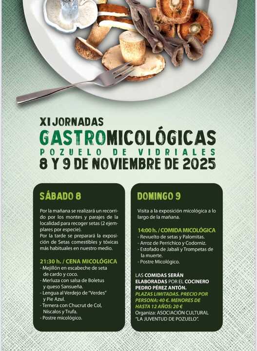 cartel jornadas gastromicologicas de Pozuelo de Vidriales