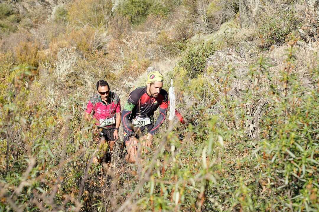 TRAIL ALCAÑICES 1