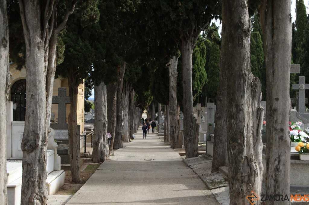 Cipreses del cementerio