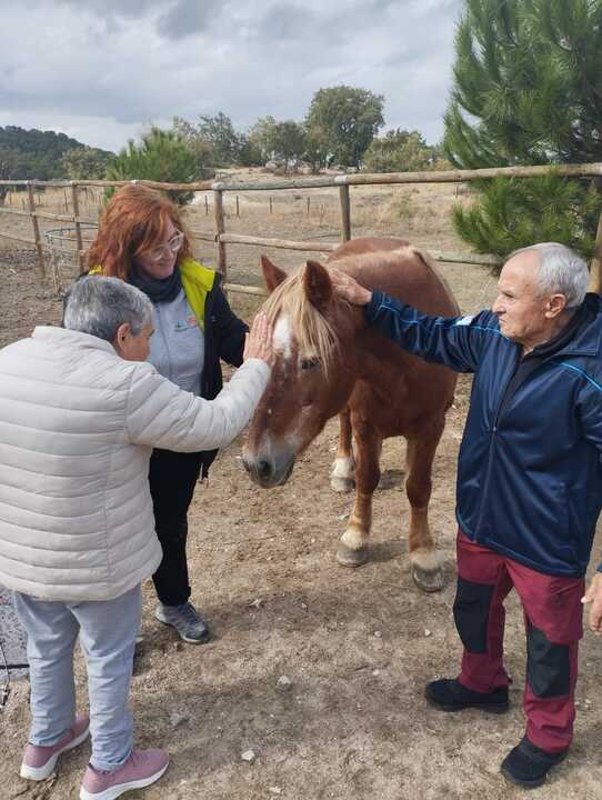 Fundación Personas Zamora granja de Megeces - imagen cedida Plena Inlcusión CyL