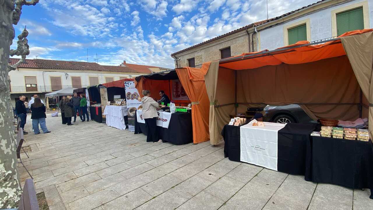 Feria de los Santos Fuentesaúco_2