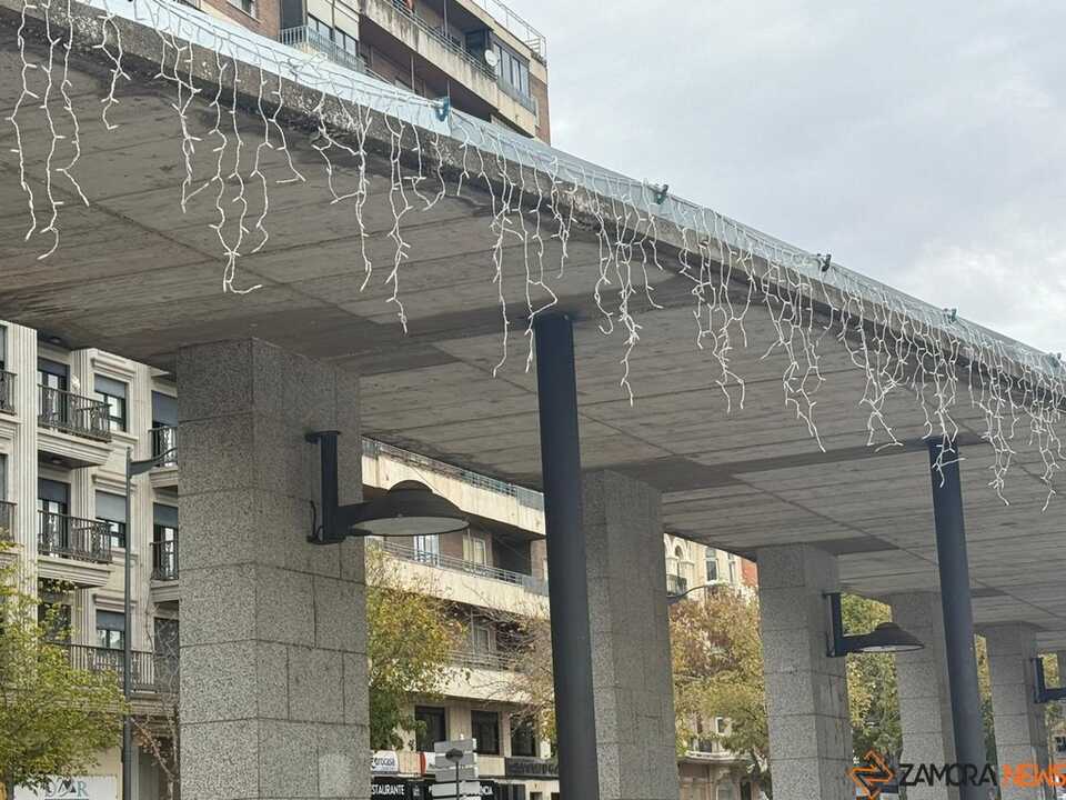 Montaje luces de navidad Zamora _4