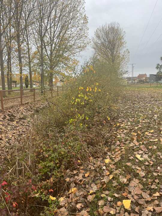 Rio Sna Pedro de Ceque