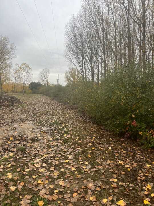 Rio Sna Pedro de Ceque_2