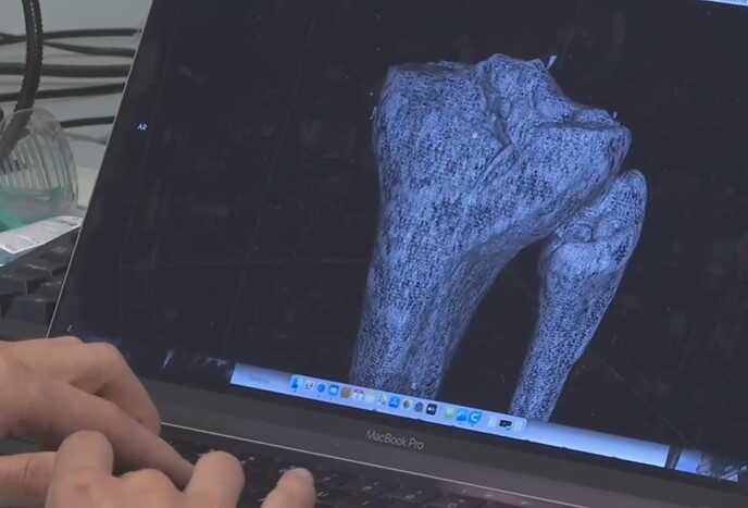 Programa informático