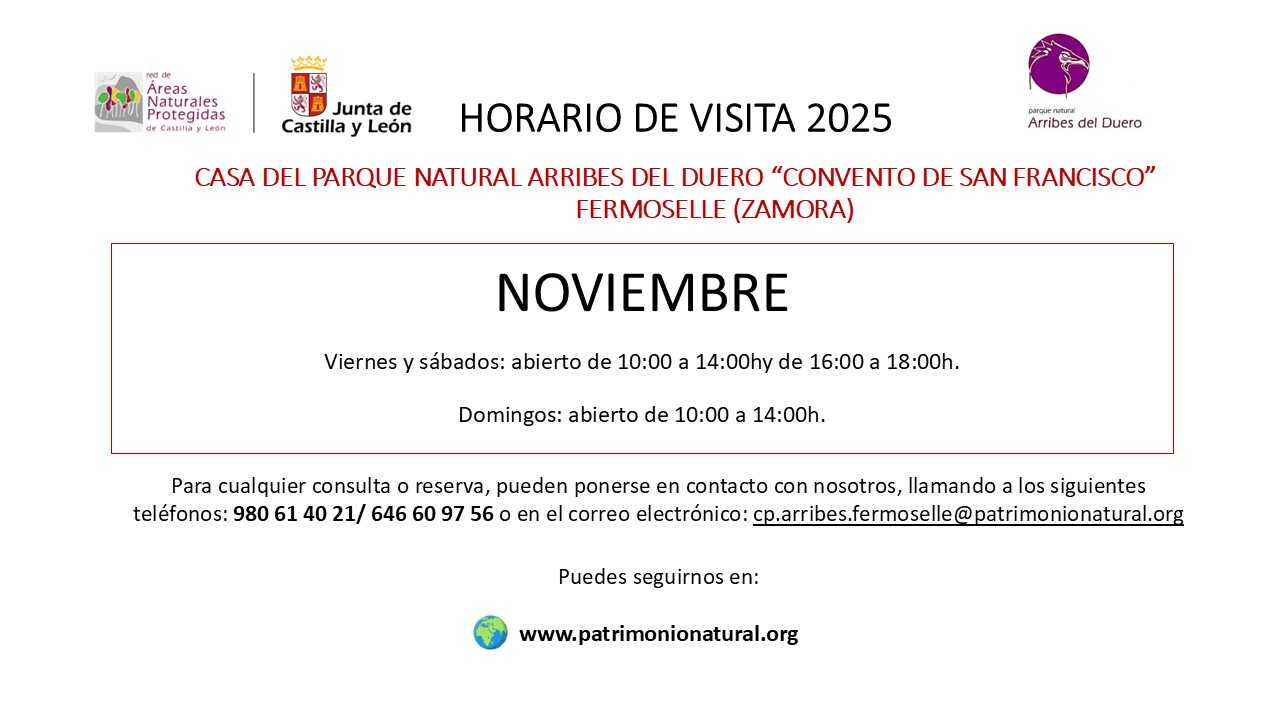 Horario noviembre