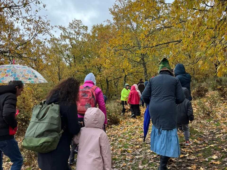 Chiquisetas Rabanales