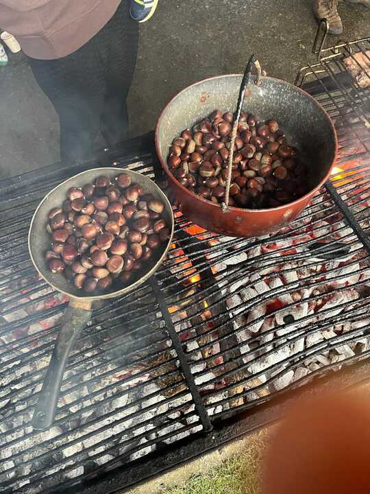 Tardemézar celebra San Martino  (5)