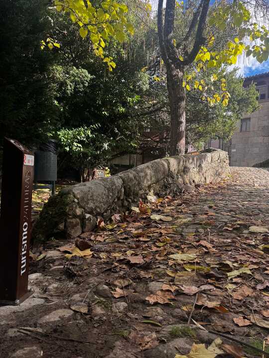 Ruta en San Martín de Castañar