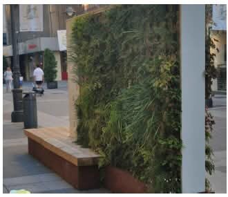 Banco de vegetación en la Plaza de los Cientos