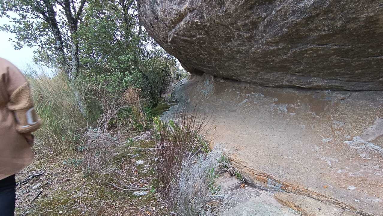 Paya del Sierpe