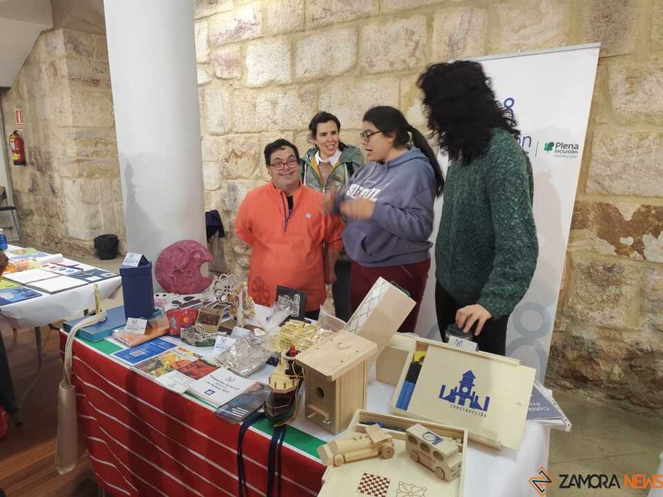 Día Internacional de la Discapacidad Zamora _2