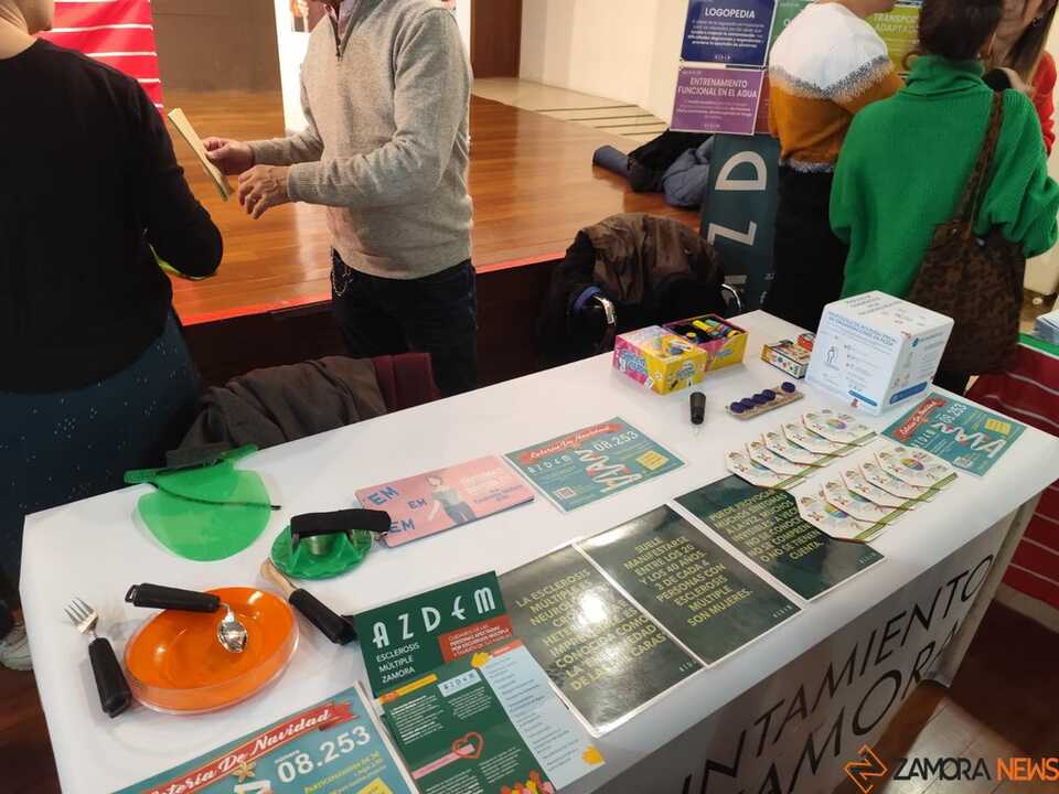 Día Internacional de la Discapacidad Zamora _3